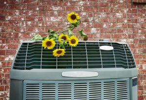 flowers-on-AC-outdoor-unit
